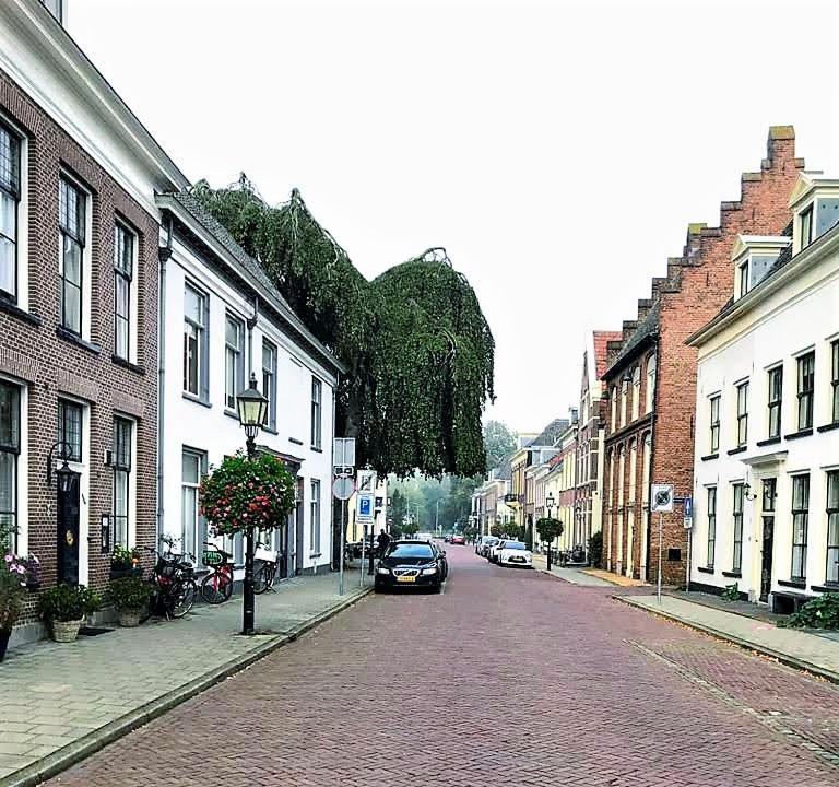 De Buurvrouw Nr.18 Bed and Breakfast Doesburg Exterior foto